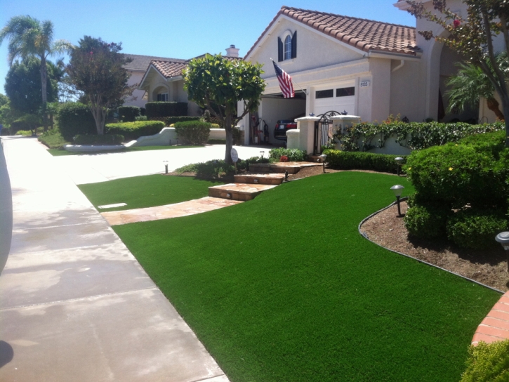 Synthetic Grass Cost Gleason, Tennessee Lawns, Front Yard Ideas