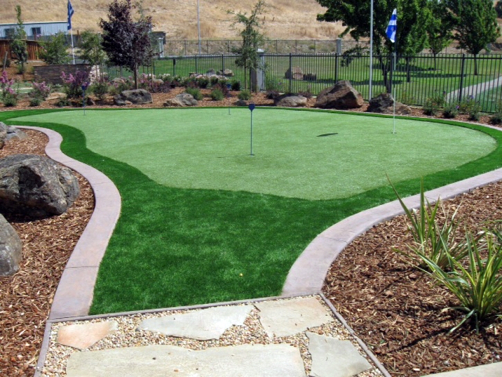 Synthetic Grass Cost Grand Junction, Tennessee Garden Ideas, Backyards