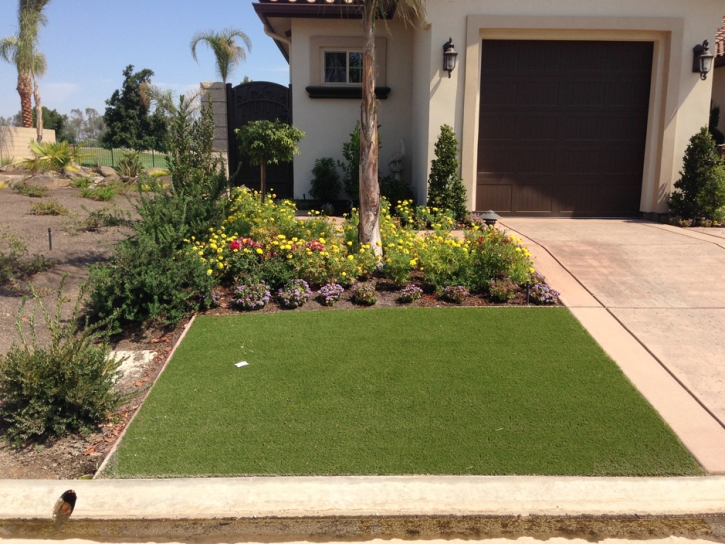 Synthetic Grass Cost Philadelphia, Tennessee Landscaping Business, Small Front Yard Landscaping