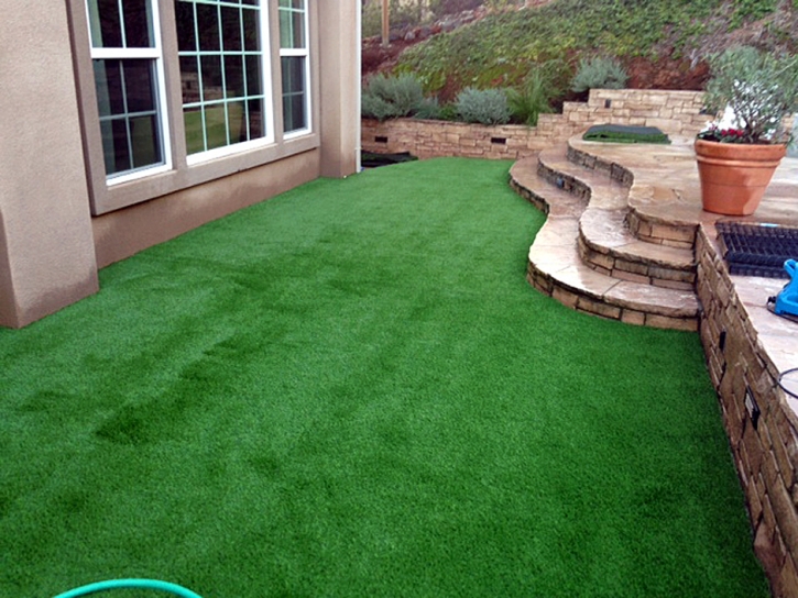 Synthetic Grass Englewood, Tennessee Lawn And Garden, Backyard Ideas