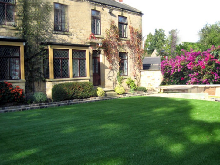 Synthetic Grass Monterey, Tennessee Backyard Playground, Front Yard