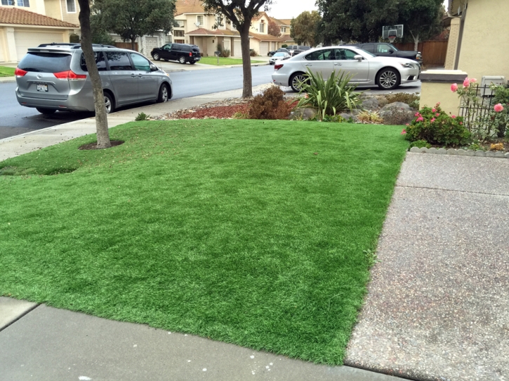 Synthetic Grass Signal Mountain, Tennessee Gardeners, Front Yard