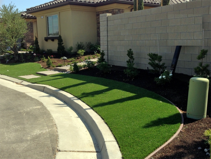 Synthetic Lawn Nashville, Tennessee Lawn And Garden, Landscaping Ideas For Front Yard