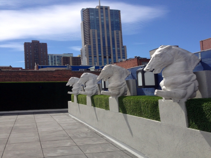 Synthetic Turf Centertown, Tennessee Roof Top, Veranda