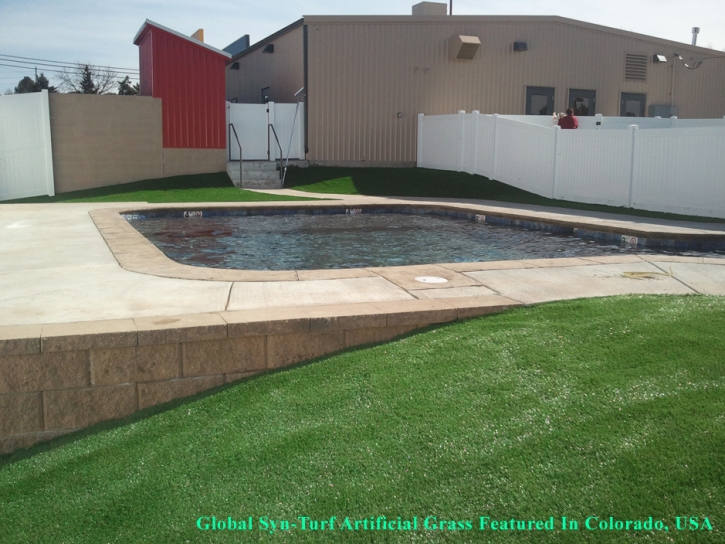 Synthetic Turf Franklin, Tennessee Backyard Playground, Swimming Pool Designs