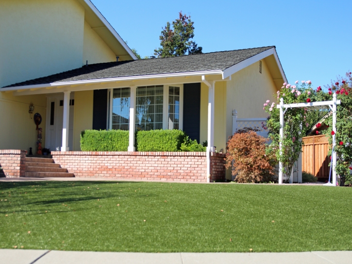 Synthetic Turf Huntsville, Tennessee Landscape Photos, Small Front Yard Landscaping