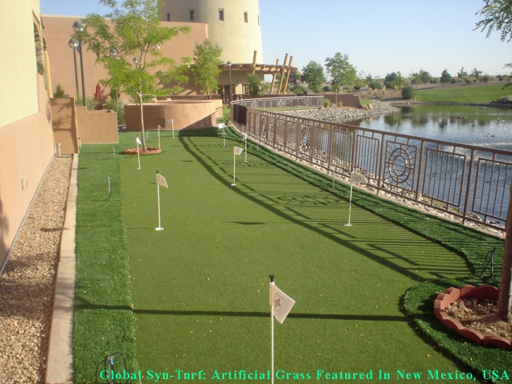 Synthetic Turf Oak Hill, Tennessee Gardeners, Beautiful Backyards