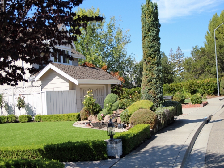 Synthetic Turf Oak Ridge, Tennessee Landscape Rock, Front Yard