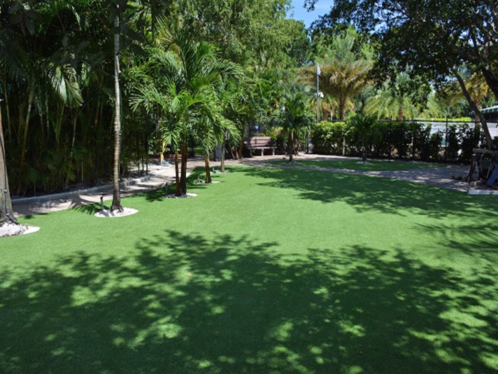 Synthetic Turf Sewanee, Tennessee Rooftop, Commercial Landscape