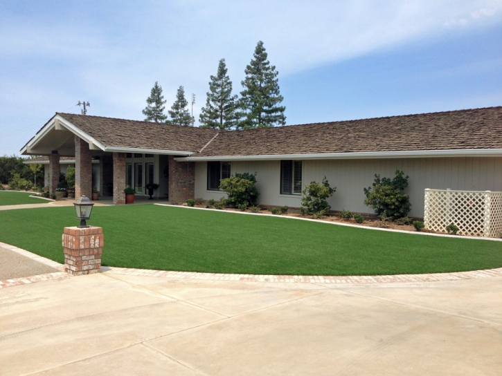 Synthetic Turf Supplier Clarksburg, Tennessee Home And Garden, Front Yard Landscaping