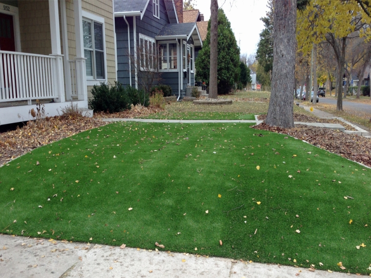 Synthetic Turf Supplier Crump, Tennessee City Landscape, Front Yard Landscape Ideas