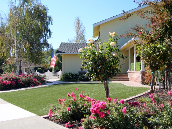 Synthetic Turf Supplier Johnson City, Tennessee Rooftop, Front Yard Landscaping