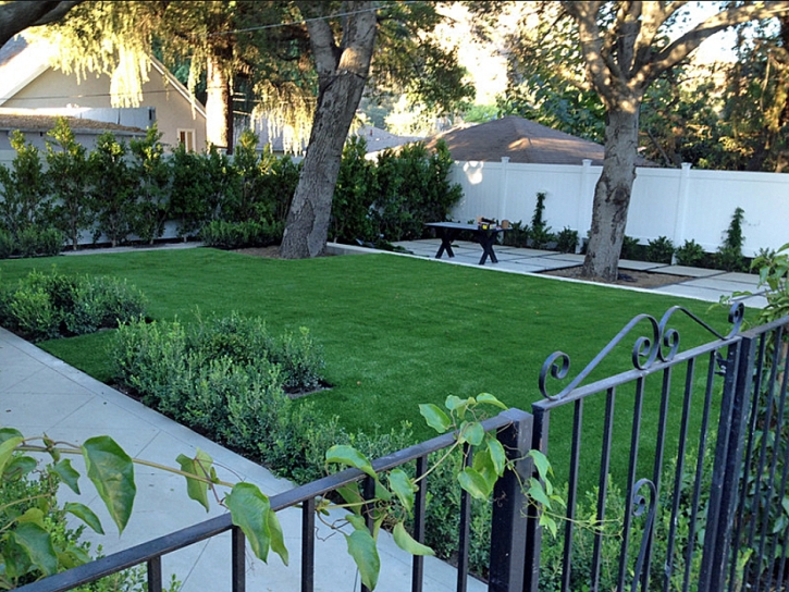 Synthetic Turf Supplier Soddy-Daisy, Tennessee Lawn And Garden, Small Front Yard Landscaping