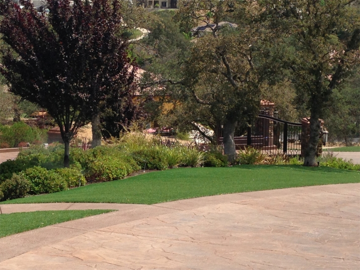 Synthetic Turf Supplier Vonore, Tennessee Design Ideas, Backyard Landscaping