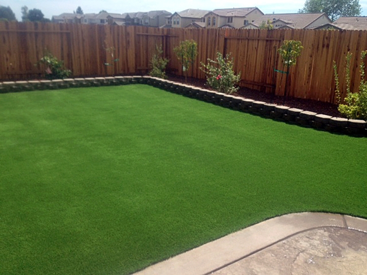 Turf Grass Lafayette, Tennessee Landscape Rock, Backyard