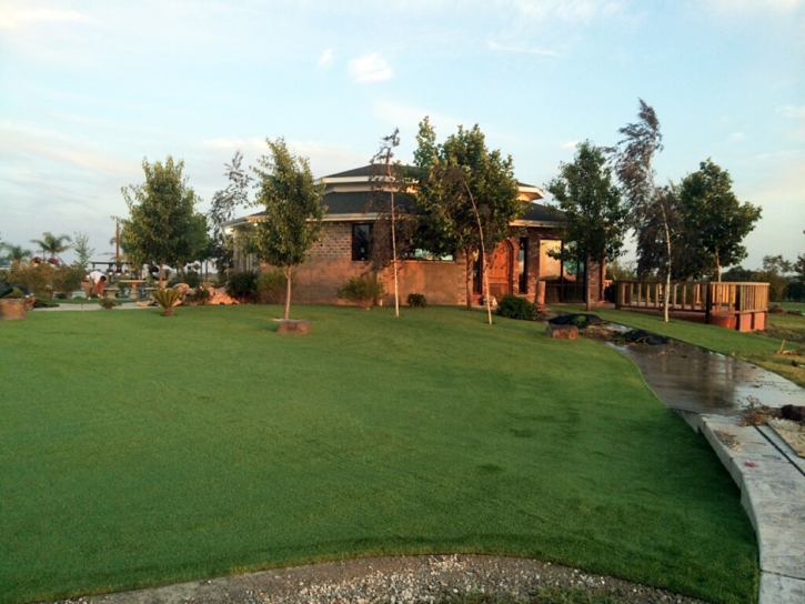 Turf Grass Lafayette, Tennessee Landscaping, Commercial Landscape