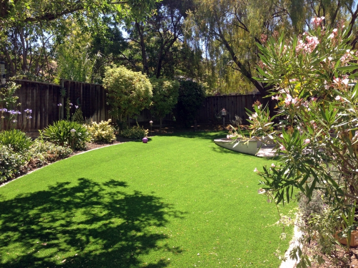 Turf Grass Manchester, Tennessee Backyard Playground, Backyards