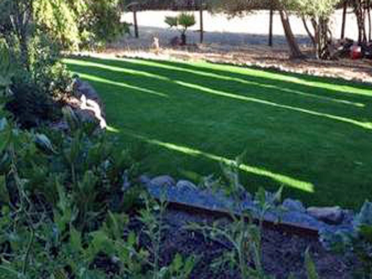 Turf Grass Somerville, Tennessee Rooftop, Small Backyard Ideas