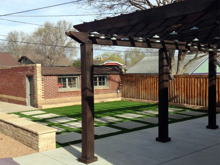 Turf Grass Woodland Mills, Tennessee City Landscape, Backyard